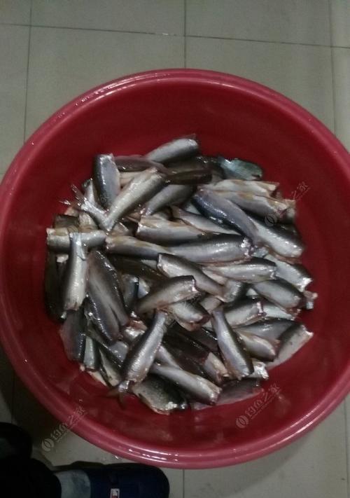 钓鱼高手的鲮鱼手竿技巧（掌握技巧成为顶尖垂钓专家）