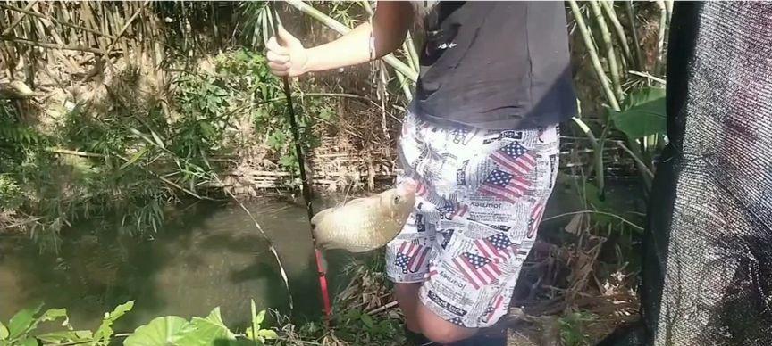 流动小溪钓鱼技巧（享受钓鱼乐趣的小窍门）