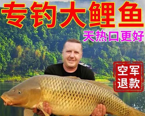 流水钓鲤鱼绝密技巧（揭秘流水钓鲤鱼的高效方法）