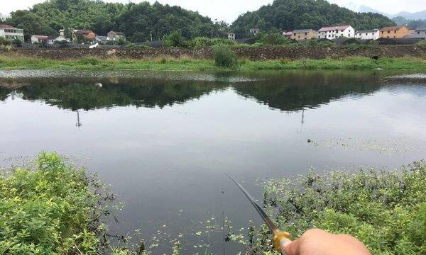 探秘流水钓鱼打窝技巧（流水钓鱼打窝的高效利器及操作要点）