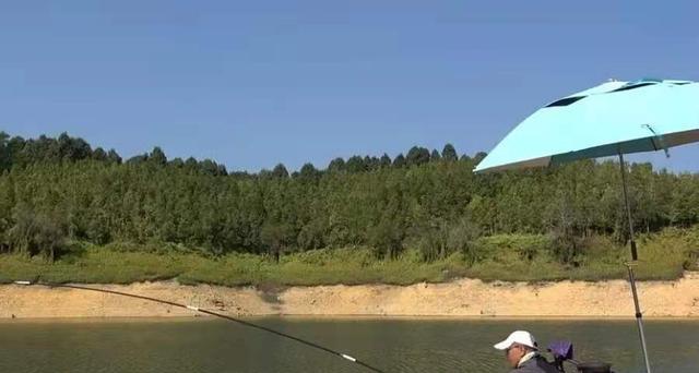 南方秋季钓鱼技巧（掌握15-20度温度下的钓鱼窍门）