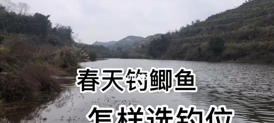 南方春天大雨后钓鱼技巧（迎接丰收的关键——湿地鱼儿的狂欢）