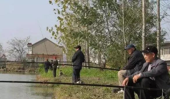 南方冬天鱼塘钓鱼技巧（南方冬天鱼塘钓鱼的窍门和注意事项）