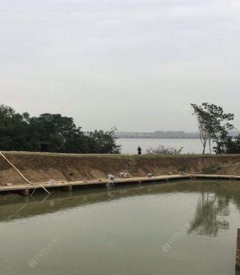 南方黑坑钓鱼技巧与方法（揭秘南方黑坑钓鱼的成功秘籍）