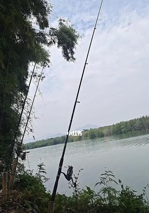 南方五一后钓鱼技巧（提高钓鱼成功率的实用技巧）