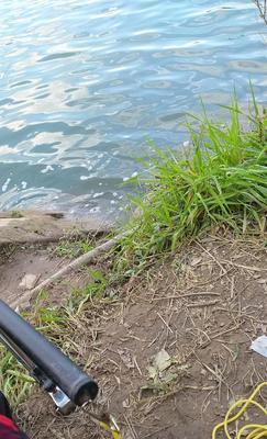 南方水库惊蛰钓鱼技巧（南方水库钓鱼秘籍）