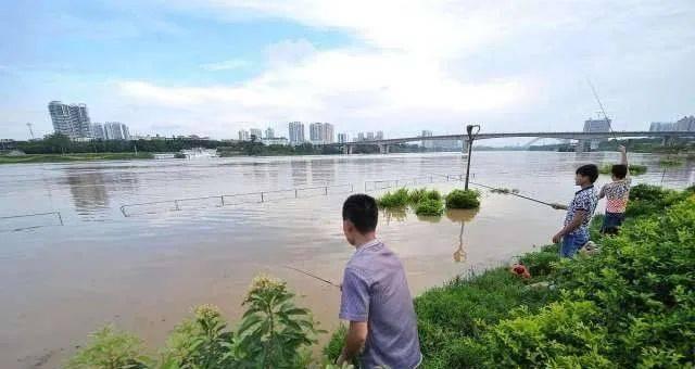 南方水库惊蛰钓鱼技巧（南方水库钓鱼秘籍）