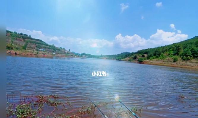 南方夏季高温钓鱼技巧（应对高温天气）