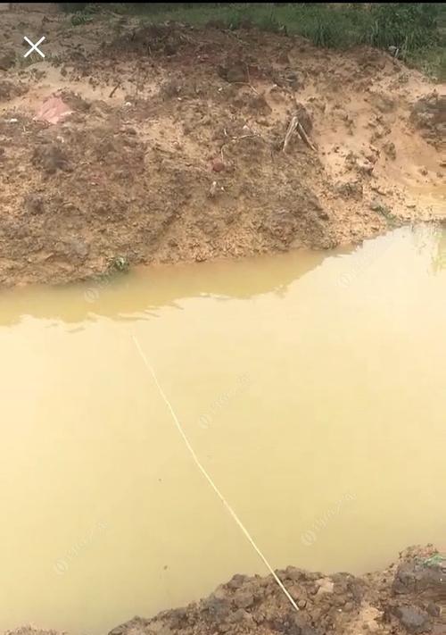 南方小水沟野钓技巧（探秘南方小水沟的宝藏钓获美味海鲜的窍门）