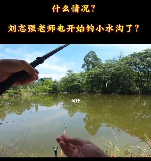 南方小水沟野钓技巧和方法（掌握钓鱼技巧）