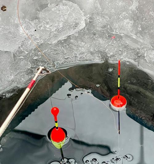 南方小雪后钓鱼技巧（掌握南方小雪季节钓鱼的技巧）