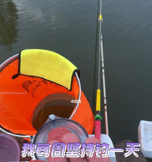 南方雨季钓鱼技巧（掌握钓鱼技巧）