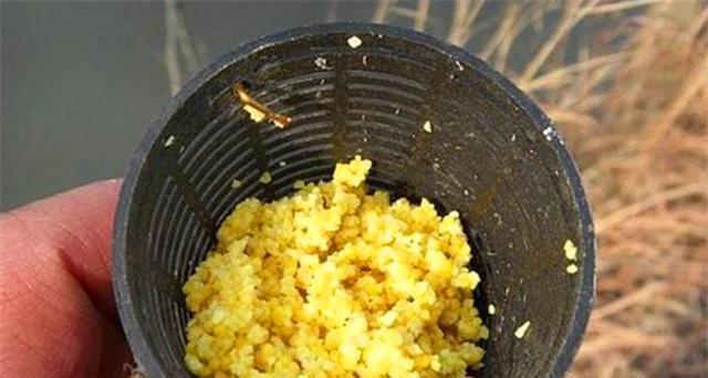 南方中秋野钓鲫鱼的技巧与方法（掌握鲫鱼的喜好）