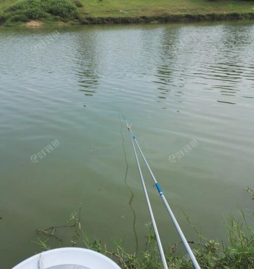 南京秦淮河钓鱼技巧（南京秦淮河钓鱼技巧全面攻略）