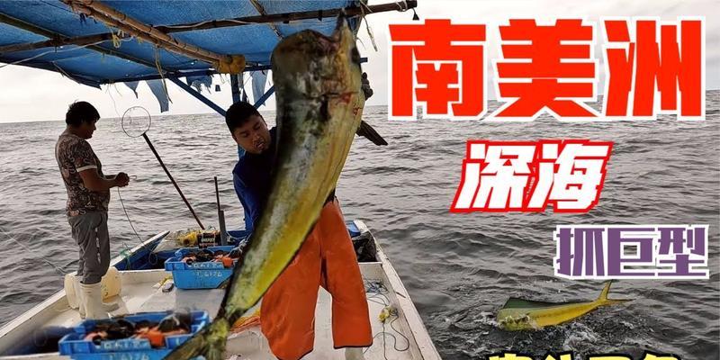 南美洲钓鱼技巧（探索南美大陆丰富的钓鱼体验）