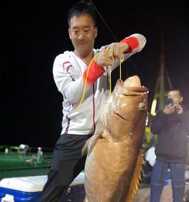 南油钓鱼金枪鱼技巧（南油钓鱼金枪鱼的专业技巧与经验分享）