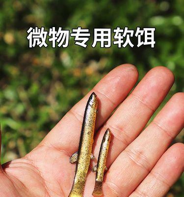 玩转泥鳅钓鱼的技巧（掌握泥鳅钓鱼的窍门）