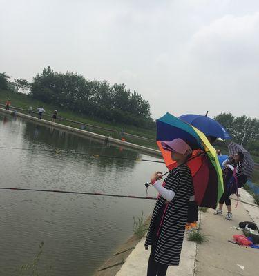 鸟语花香钓鱼技巧（悠然自得享受大自然）
