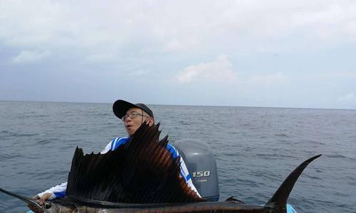 宁波出海钓鱼技巧教程（实用技巧助你成功捕获丰富的海鲜）