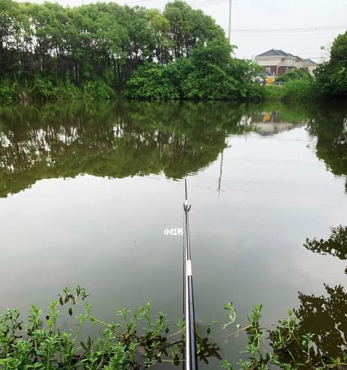 夜钓技巧大揭秘（以漆黑水面钓鱼的窍门与技巧）