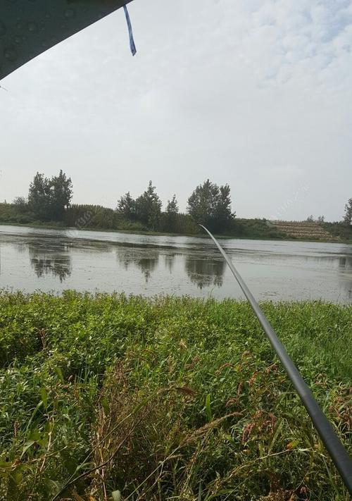 寒冷雨天钓鱼的技巧（提高钓鱼效果的7个关键要点）