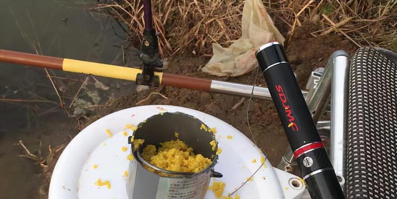 钓鱼技巧百花齐放（千奇百怪的捕鱼技巧教程）