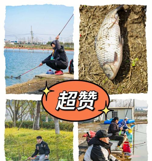 钓鱼技巧（技巧、心得与经验分享）