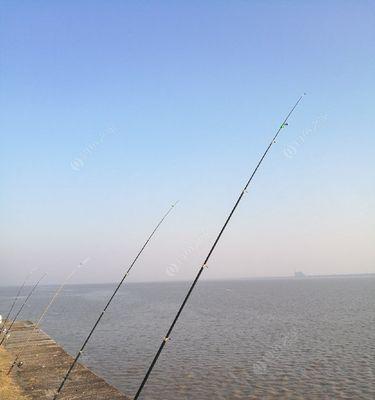 钓鱼技巧大揭秘（钱塘里的小河是钓鱼的最佳去处）