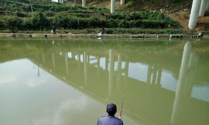 浅池塘钓鱼技巧教学（钓鱼技巧）