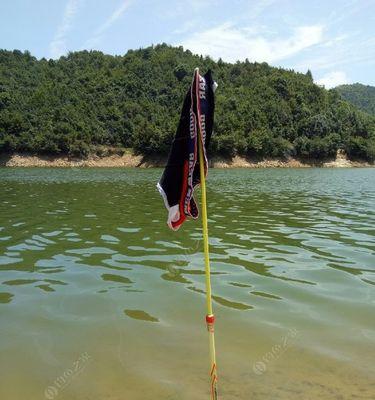 浅水垂钓草鱼技巧与方法（掌握钓技）
