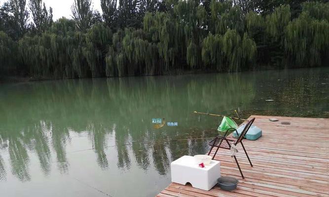 浅水垂钓技巧大揭秘（深入探索）