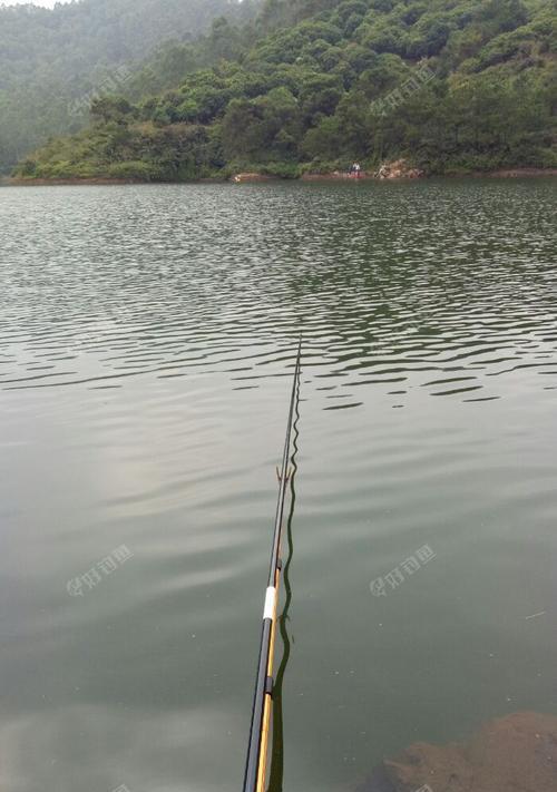 浅水塘50公分钓鱼技巧（钓鱼技巧分享）