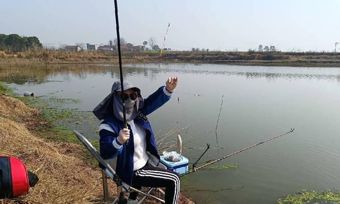 水库浅水湾钓鱼技巧（掌握好这些技巧）