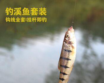 浅水溪流钓鱼的技巧与方法（钓鱼高手分享的钓鱼经验）