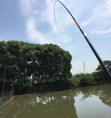 浅水野塘钓鱼技巧（掌握关键技巧）
