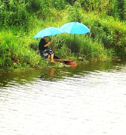 秋季雨天垂钓技巧（钓友必知）