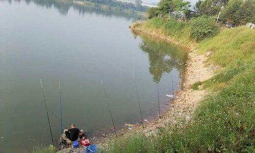 桥边浅水钓鱼技巧（轻松掌握钓鱼心得）
