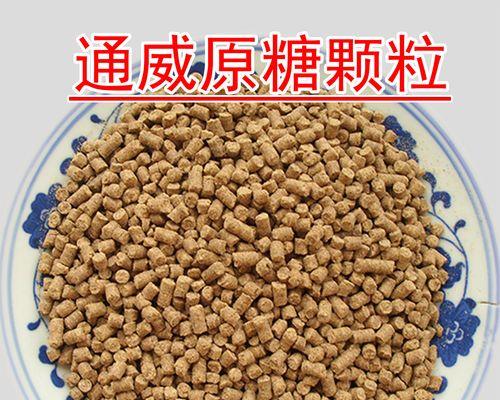 秋季野钓鲤鱼饵料搭配技巧（提高野钓鲤鱼成功率的关键策略）