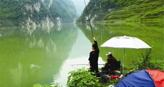 秋季野钓鱼的技巧与方法（探秋景）