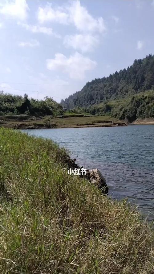 东北秋季野钓鱼技巧（探秋季野钓鱼好时机）
