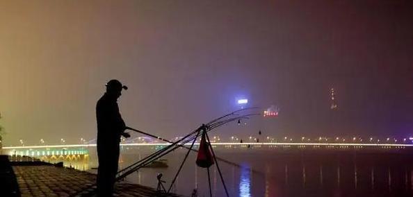 秋雨夜钓鱼的技巧与方法（雨夜钓鱼让你的收获倍增）