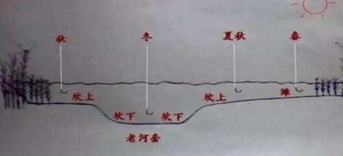 秋末初冬抛竿钓鲢鳙技巧（秋冬时节钓鲢鳙的窍门与经验）