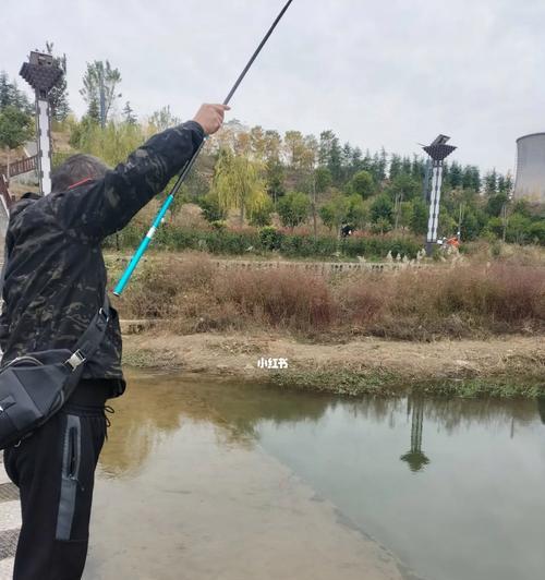 秋日白天钓鱼技巧（享受秋日钓鱼乐趣的绝佳时机）