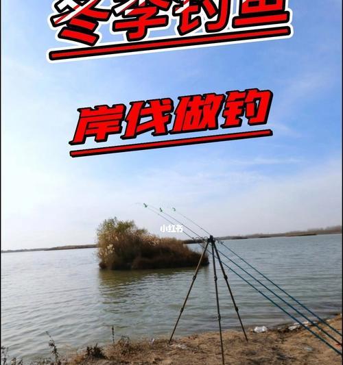 秋日大风钓鱼技巧（挑战秋天大风）