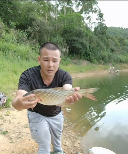 秋天水库抛竿钓鱼的技巧（掌握正确的鱼群分布和饵料选择）