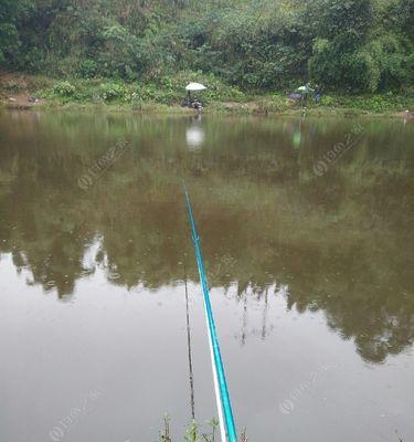 秋天水库钓鱼技巧大揭秘（以蚯蚓为诱饵）