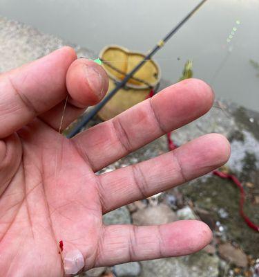 秋天小河沟钓鱼技巧（探寻丰收时节的钓鱼乐趣）