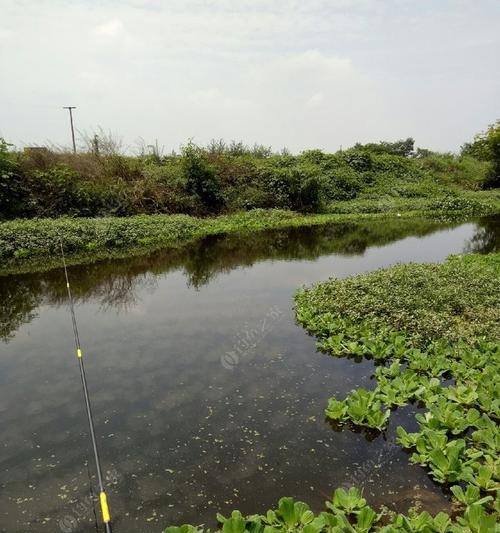 秋天野河钓鱼的技巧（掌握关键因素）