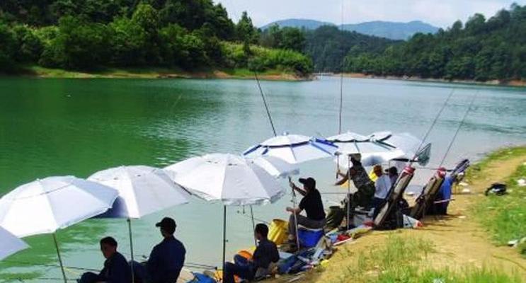 山仔水库钓鱼技巧（掌握关键技巧轻松捕获丰收）