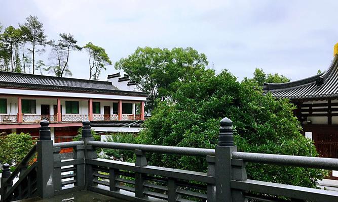 山中小草塘钓鱼技巧与方法（掌握关键技巧）